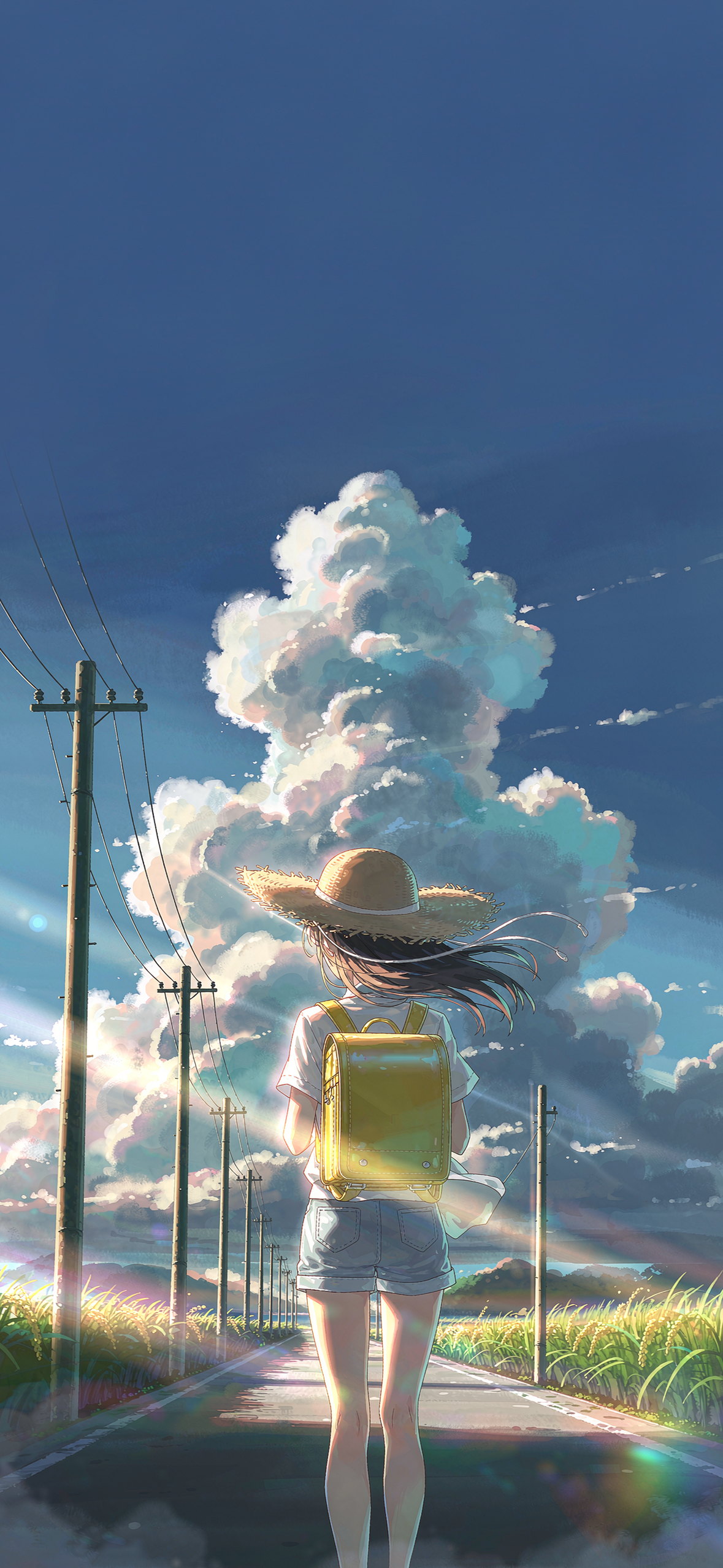 夏日乡道 · 1179×2556 动漫壁纸