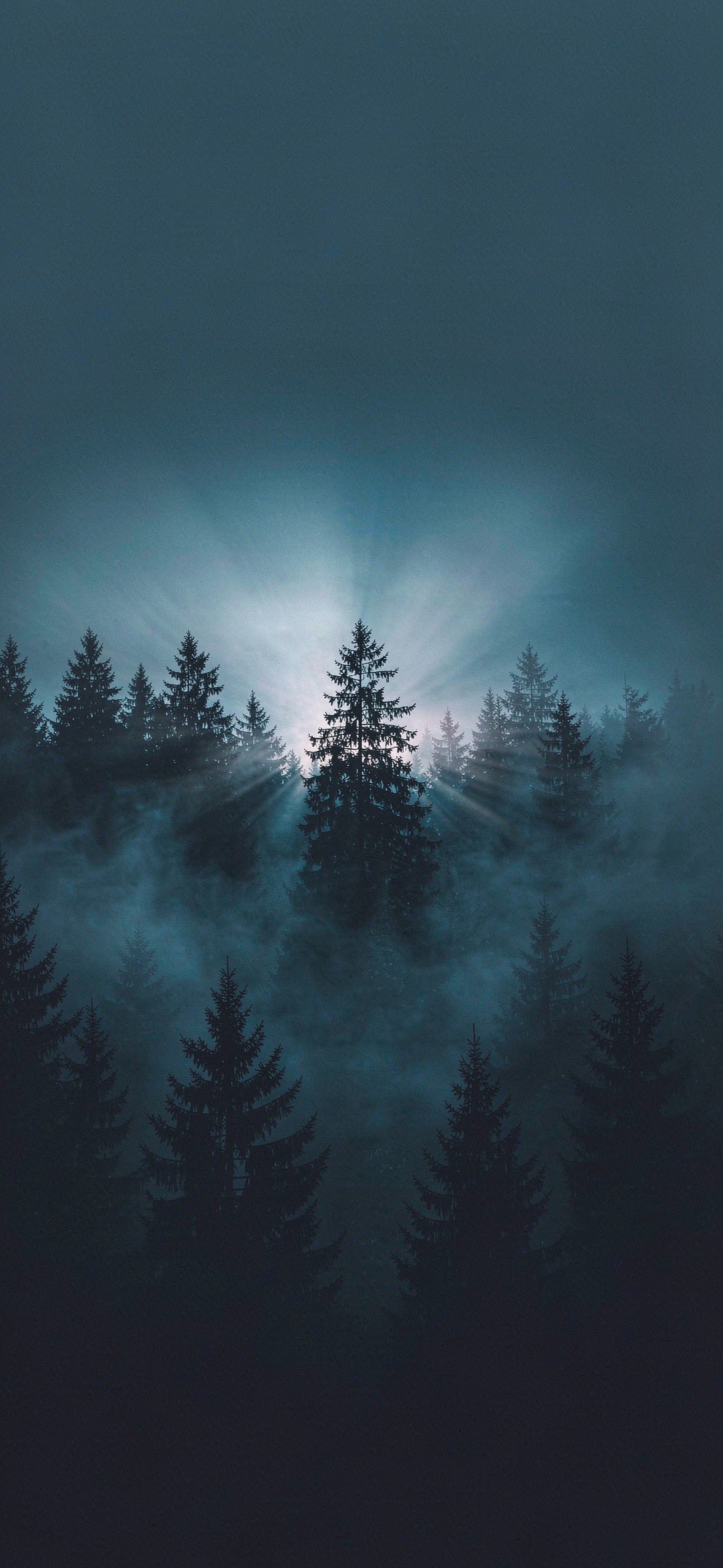 雾林月色 · 1179×2556 暗黑壁纸