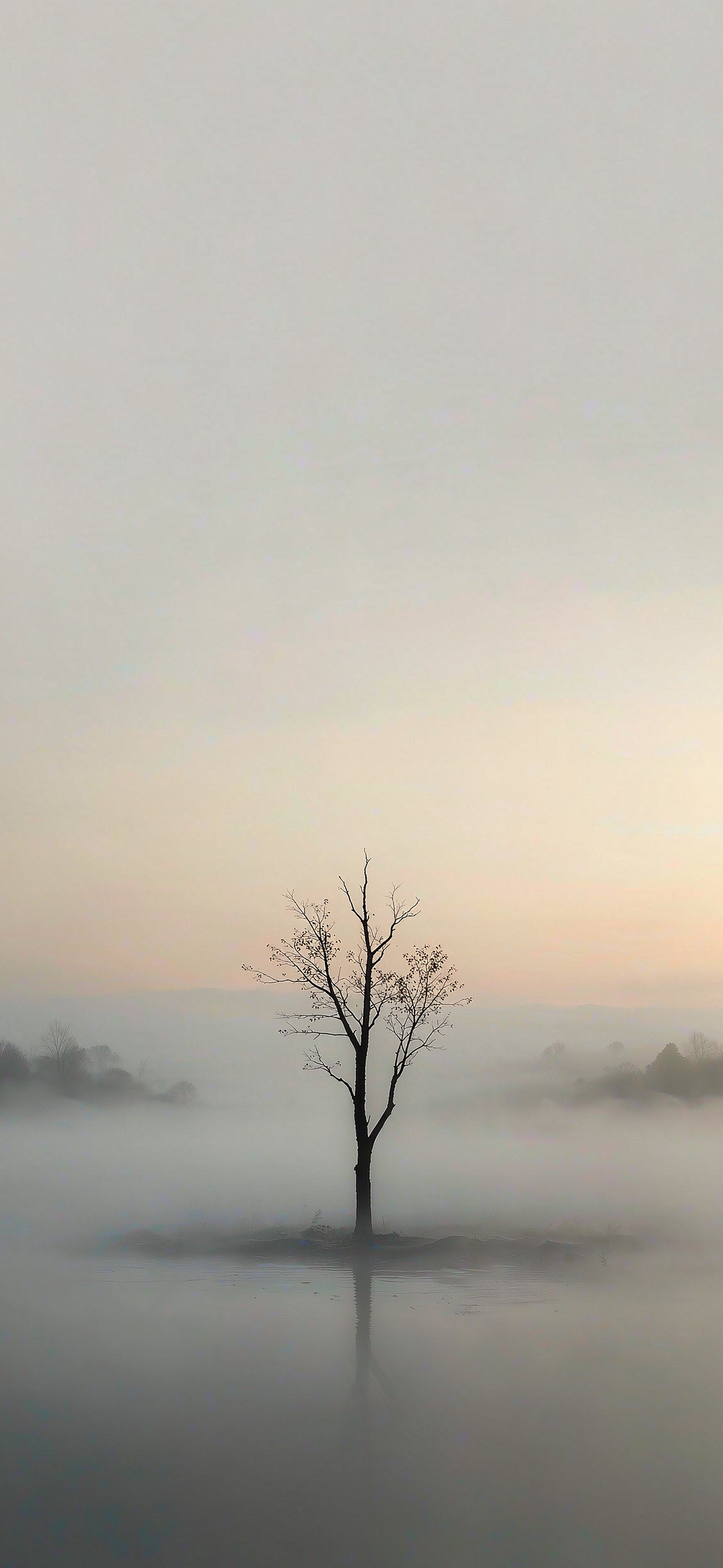 晨雾孤树 · 1179×2556 极简壁纸